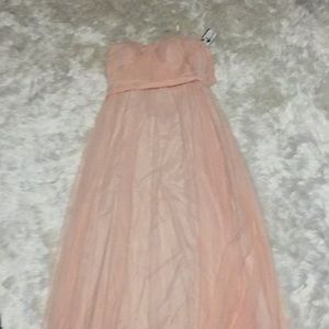 Blush Adrianna papell infinity dress